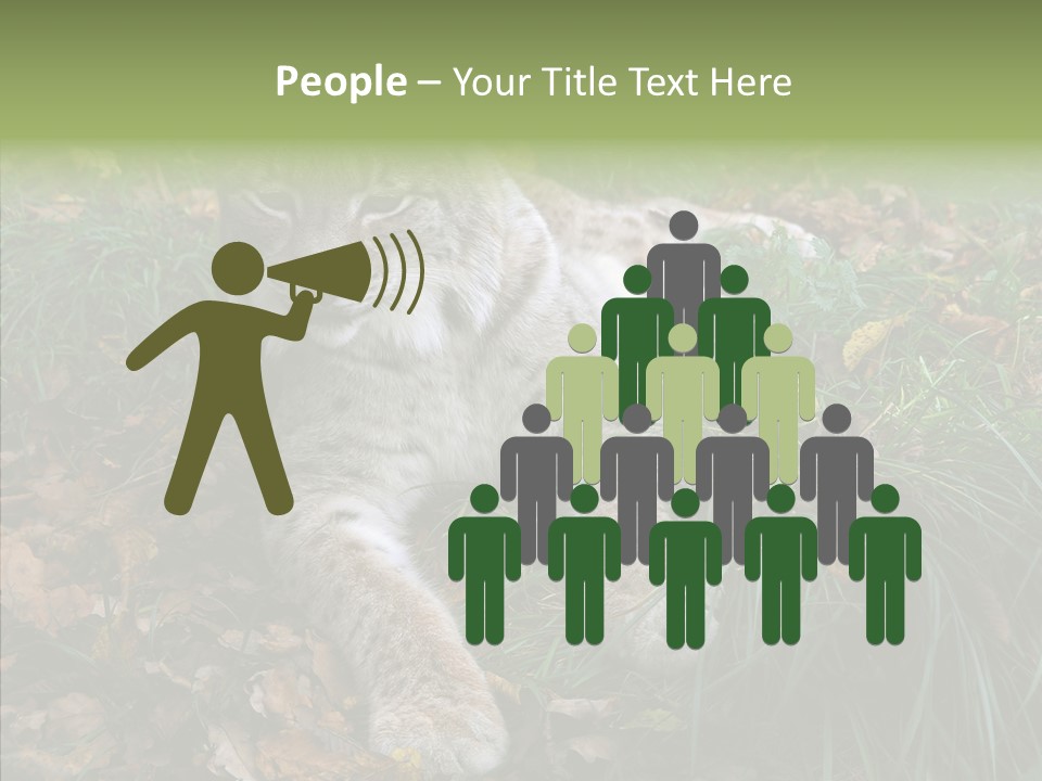 Nature Coat Bobcat PowerPoint Template