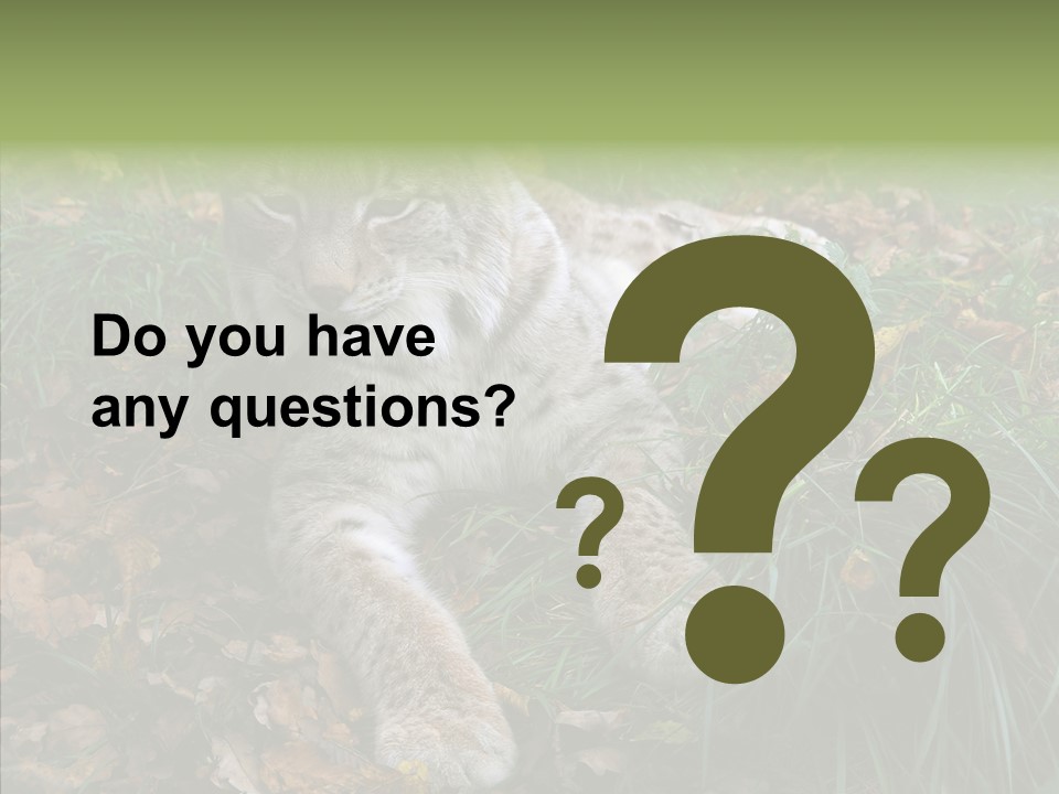 Nature Coat Bobcat PowerPoint Template