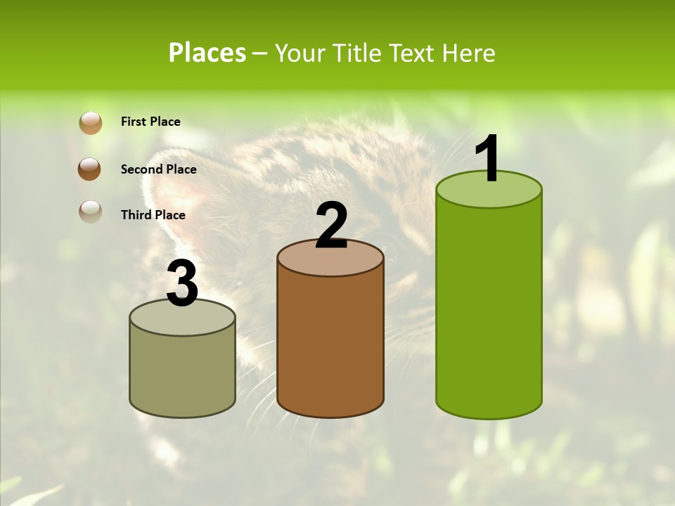 Cute Mammal Manigordo PowerPoint Template