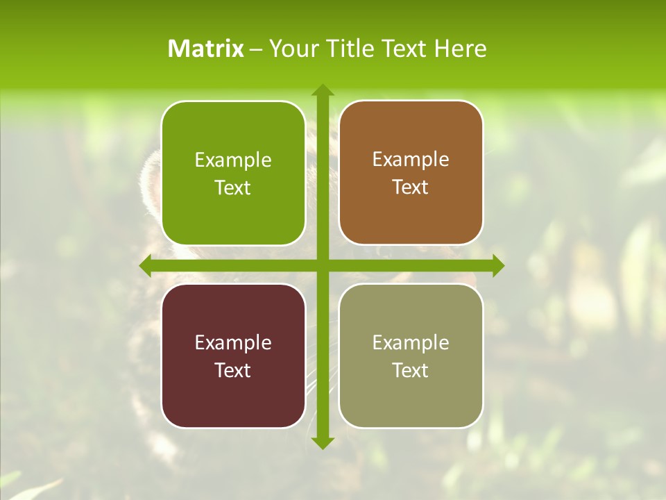 Cute Mammal Manigordo PowerPoint Template