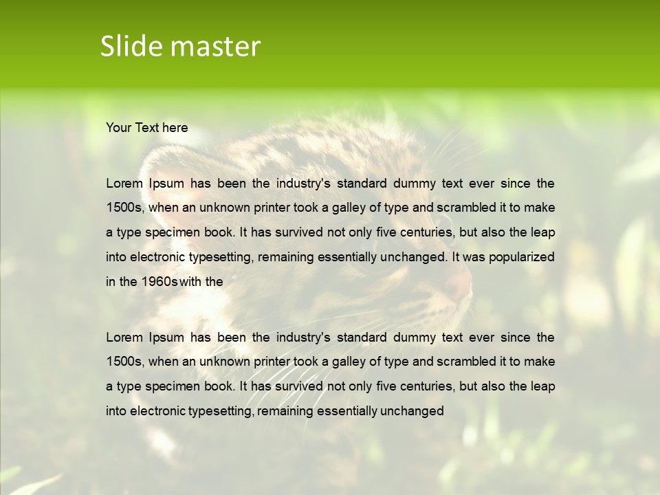 Cute Mammal Manigordo PowerPoint Template