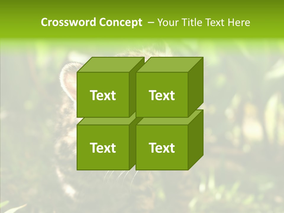 Cute Mammal Manigordo PowerPoint Template