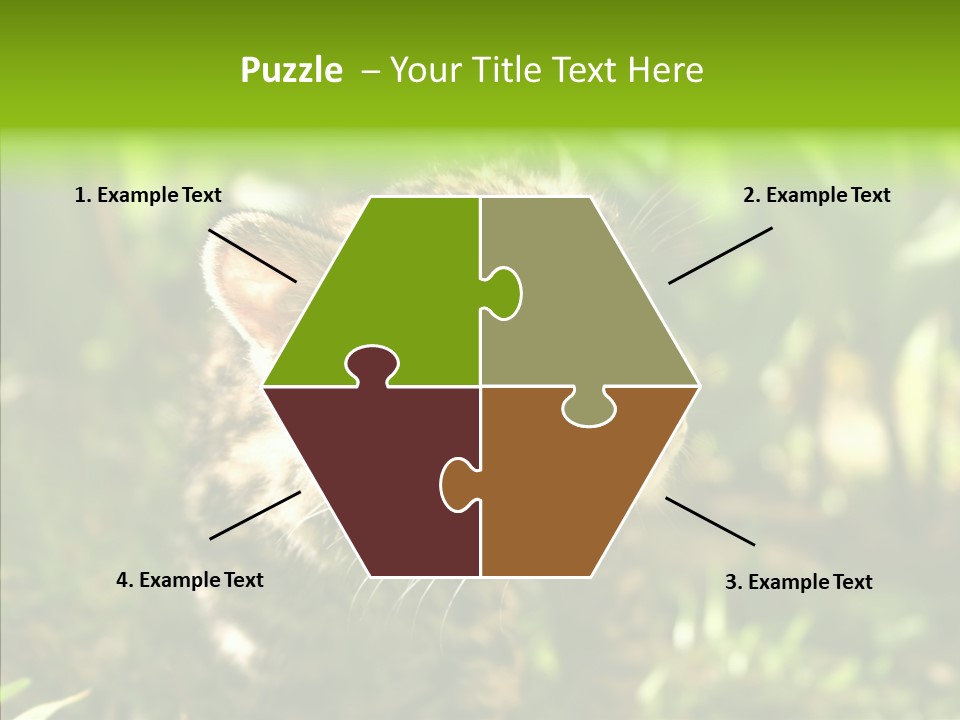 Cute Mammal Manigordo PowerPoint Template