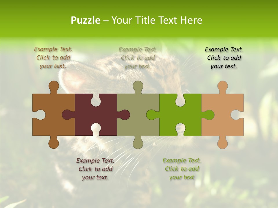 Cute Mammal Manigordo PowerPoint Template