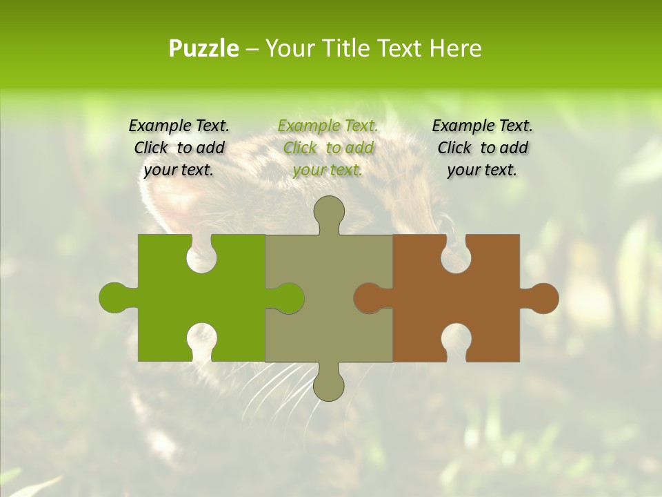 Cute Mammal Manigordo PowerPoint Template