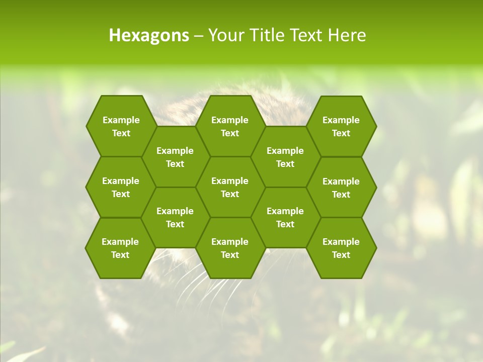 Cute Mammal Manigordo PowerPoint Template