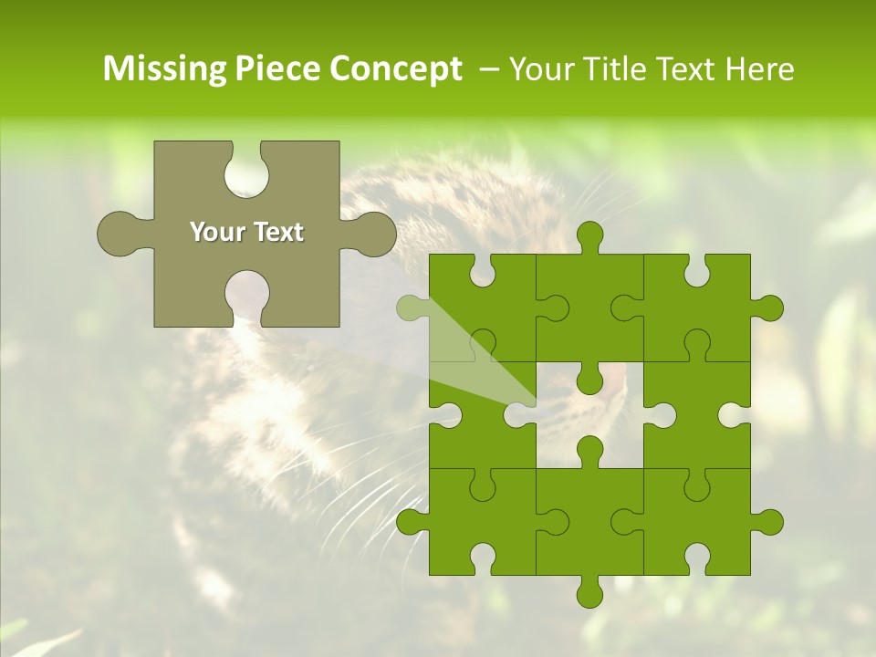 Cute Mammal Manigordo PowerPoint Template