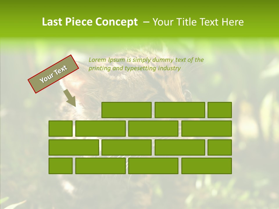 Cute Mammal Manigordo PowerPoint Template