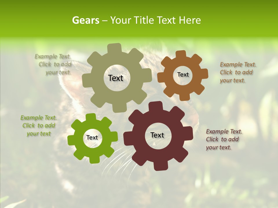 Cute Mammal Manigordo PowerPoint Template