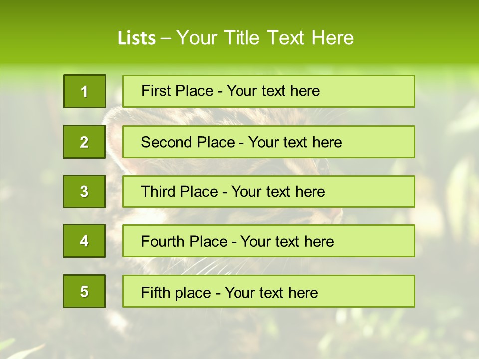 Cute Mammal Manigordo PowerPoint Template