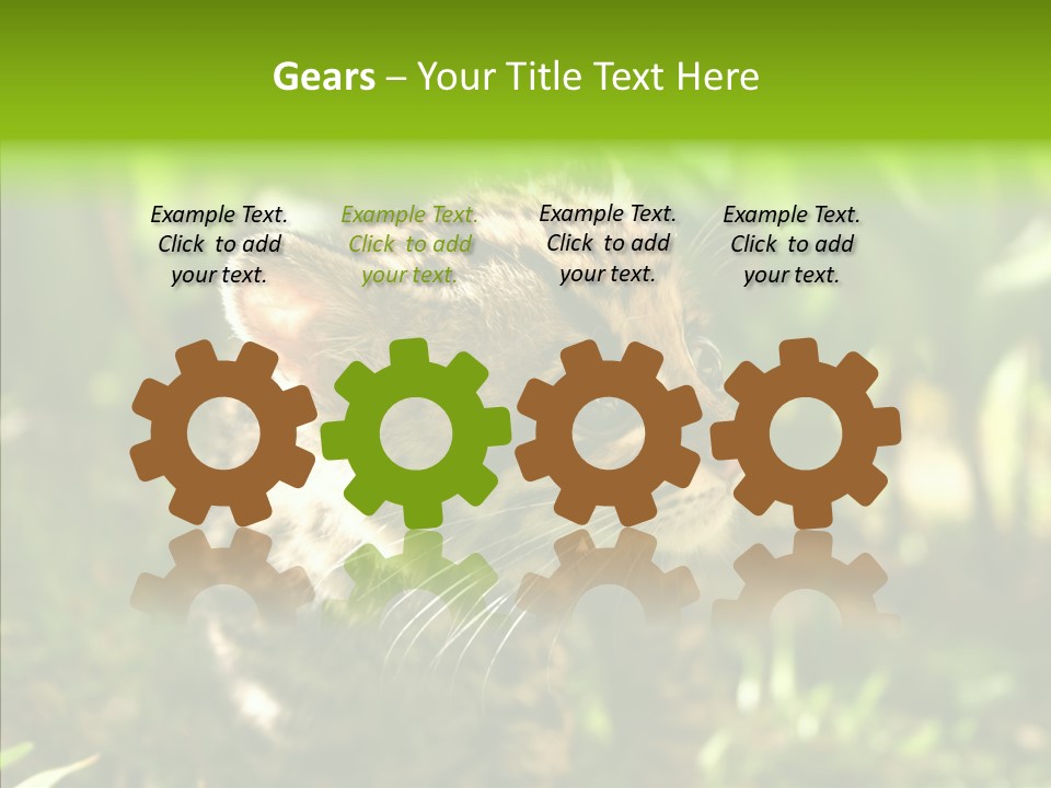 Cute Mammal Manigordo PowerPoint Template