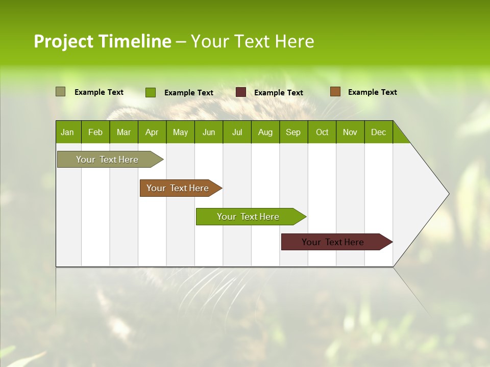 Cute Mammal Manigordo PowerPoint Template