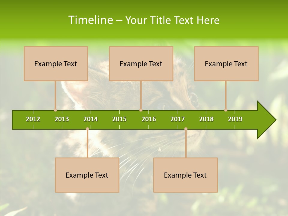 Cute Mammal Manigordo PowerPoint Template