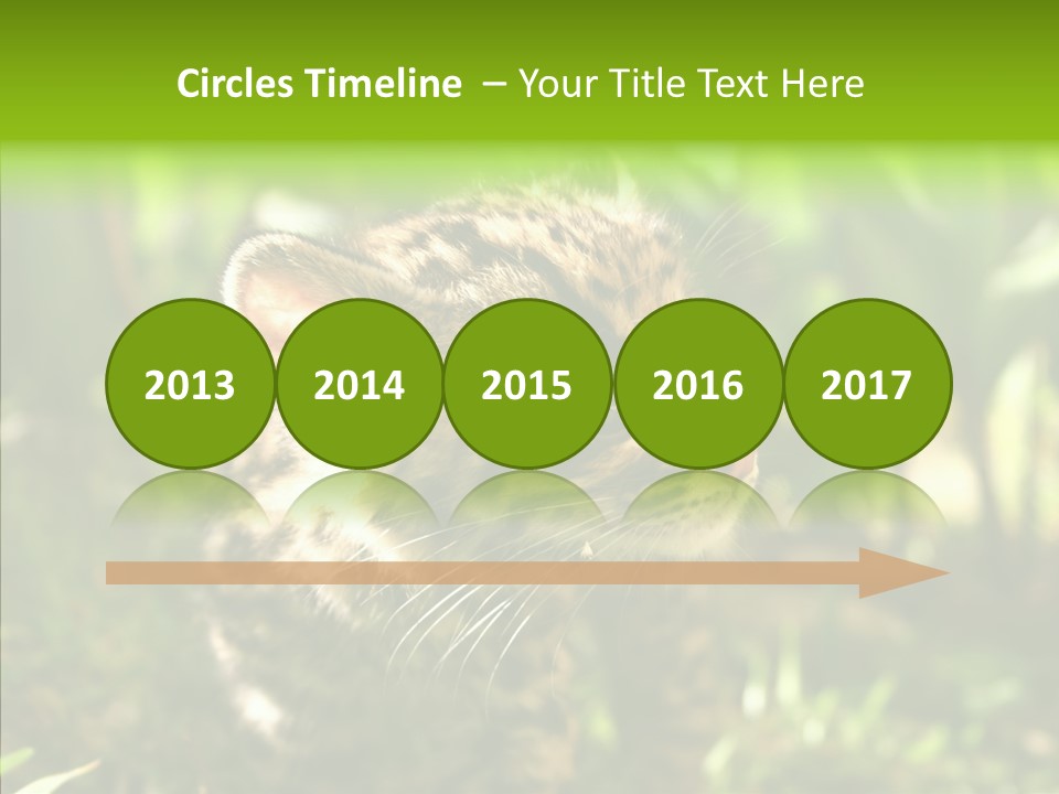 Cute Mammal Manigordo PowerPoint Template