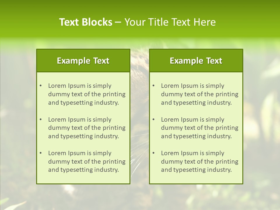 Cute Mammal Manigordo PowerPoint Template