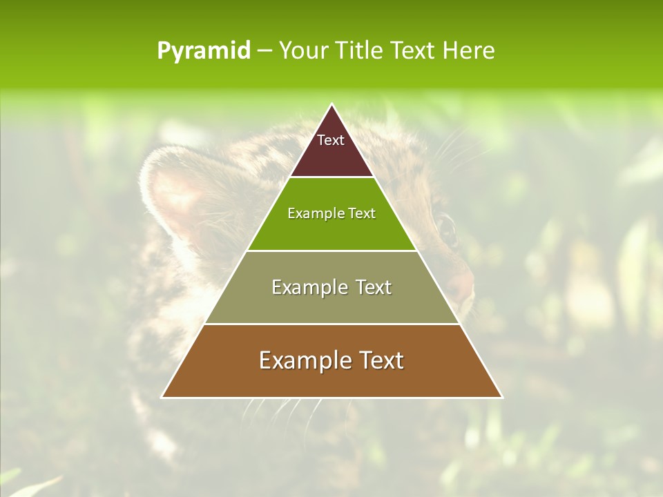 Cute Mammal Manigordo PowerPoint Template