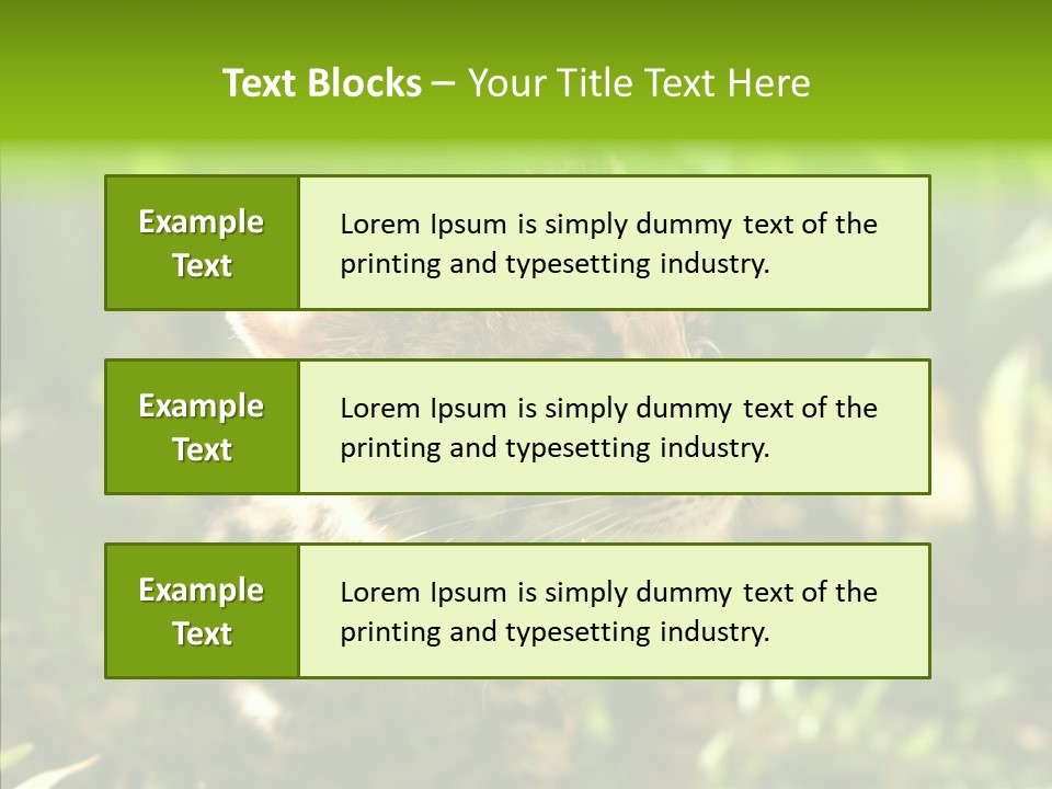 Cute Mammal Manigordo PowerPoint Template