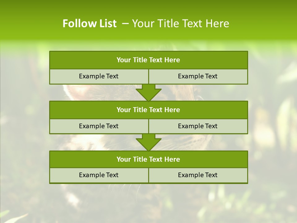 Cute Mammal Manigordo PowerPoint Template