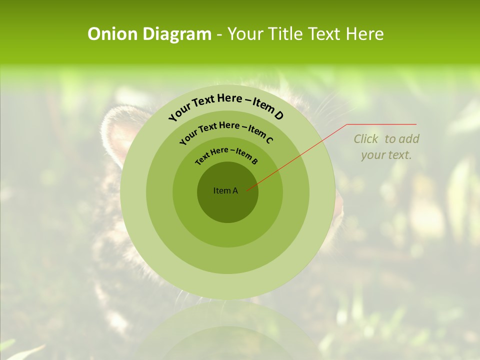 Cute Mammal Manigordo PowerPoint Template