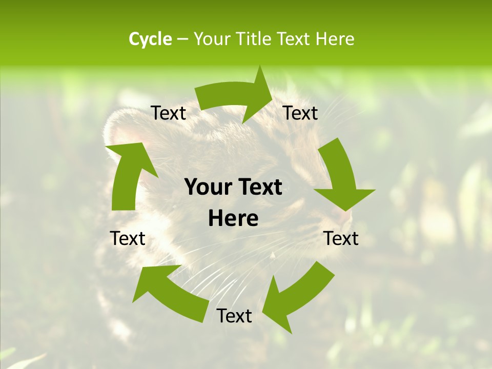 Cute Mammal Manigordo PowerPoint Template