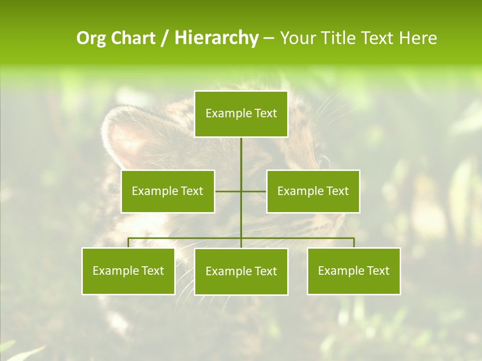 Cute Mammal Manigordo PowerPoint Template