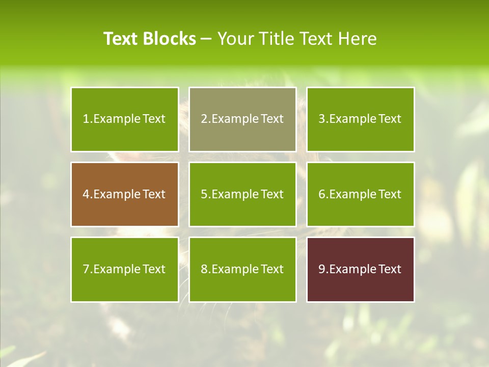Cute Mammal Manigordo PowerPoint Template