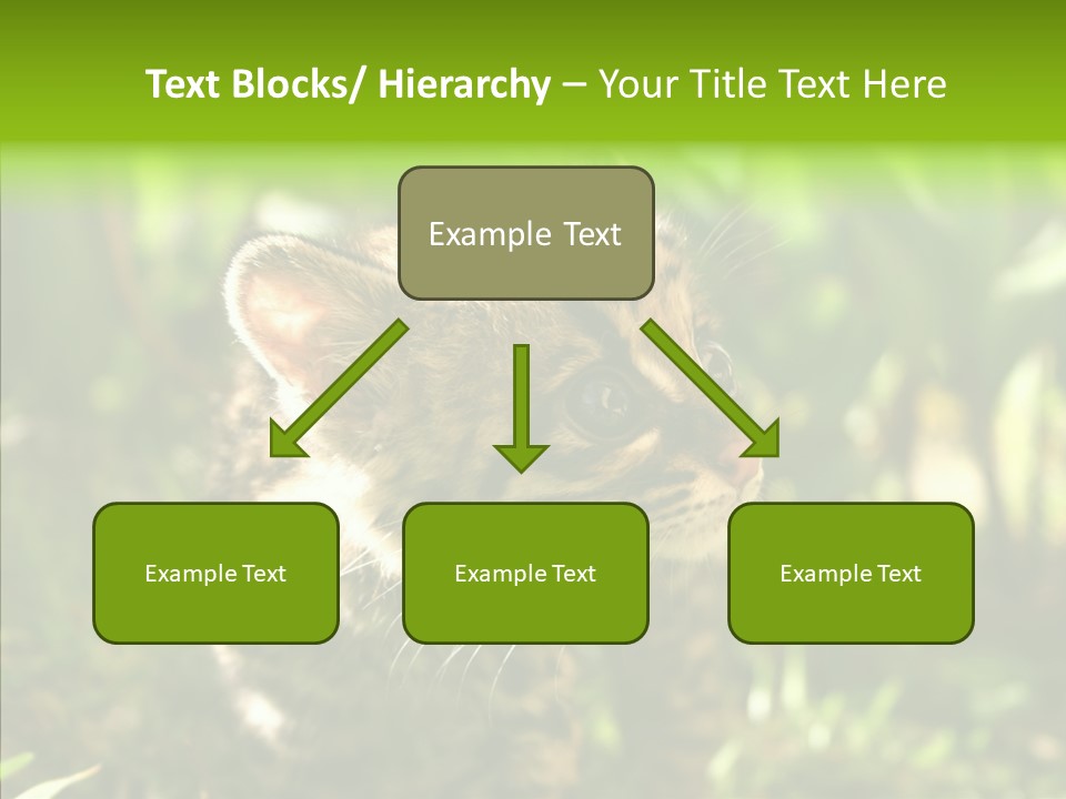 Cute Mammal Manigordo PowerPoint Template