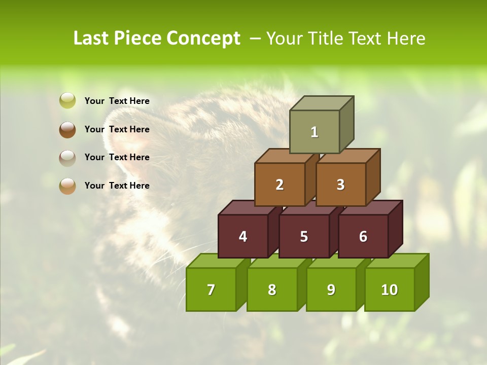 Cute Mammal Manigordo PowerPoint Template