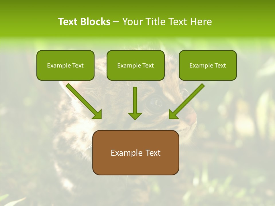 Cute Mammal Manigordo PowerPoint Template