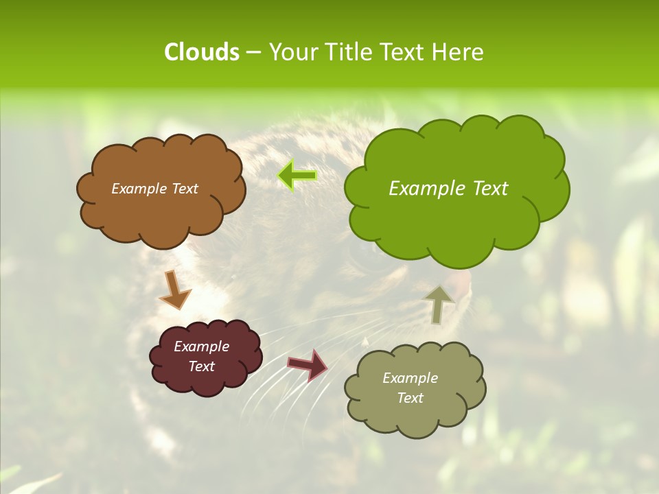 Cute Mammal Manigordo PowerPoint Template