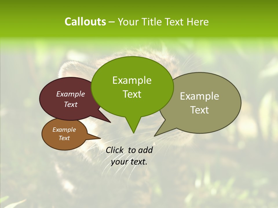Cute Mammal Manigordo PowerPoint Template