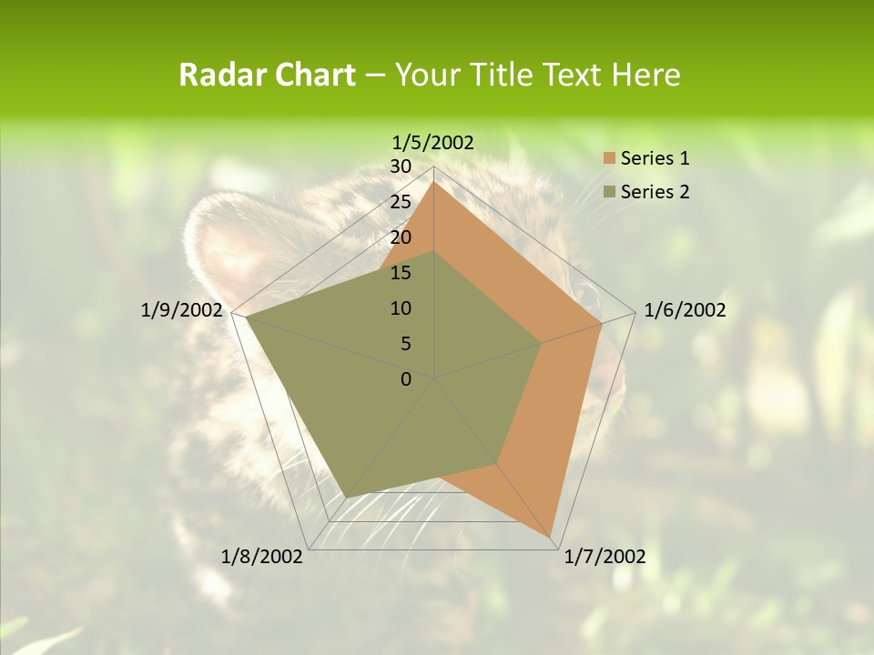Cute Mammal Manigordo PowerPoint Template