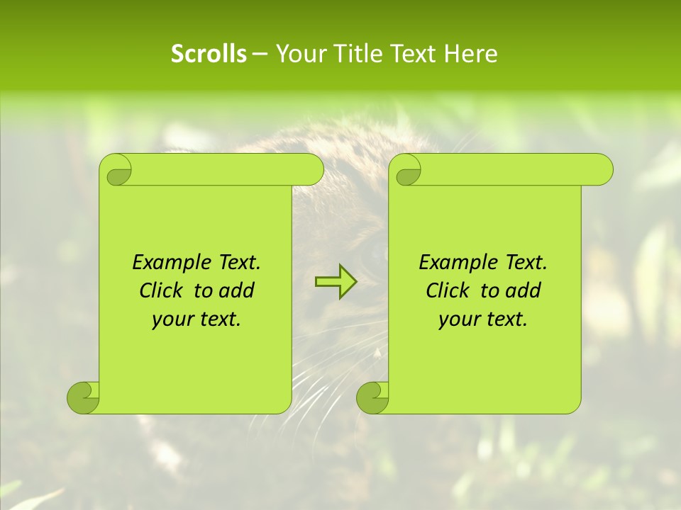 Cute Mammal Manigordo PowerPoint Template