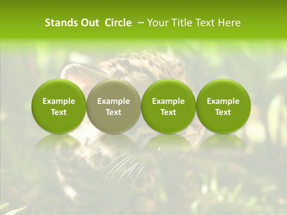 Cute Mammal Manigordo PowerPoint Template