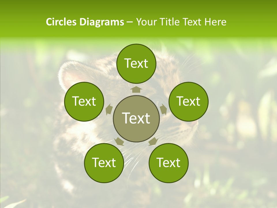 Cute Mammal Manigordo PowerPoint Template