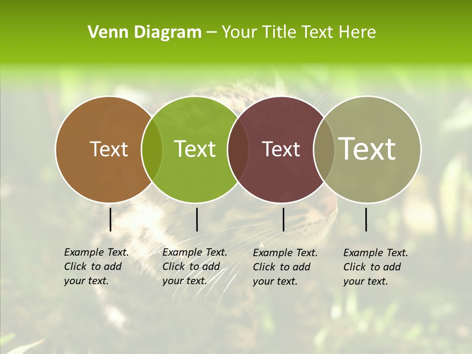 Cute Mammal Manigordo PowerPoint Template