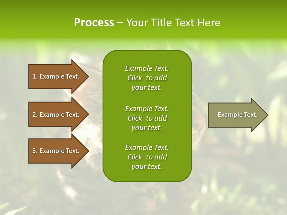 Cute Mammal Manigordo PowerPoint Template