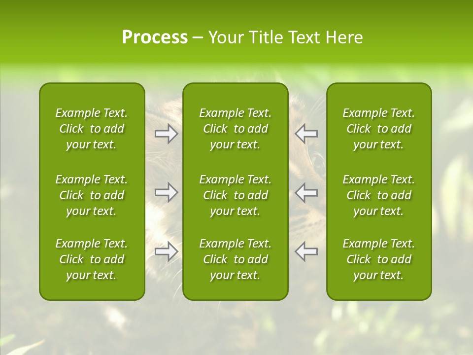 Cute Mammal Manigordo PowerPoint Template