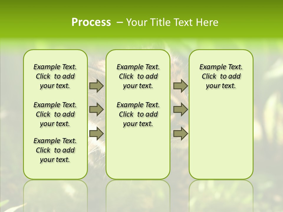 Cute Mammal Manigordo PowerPoint Template