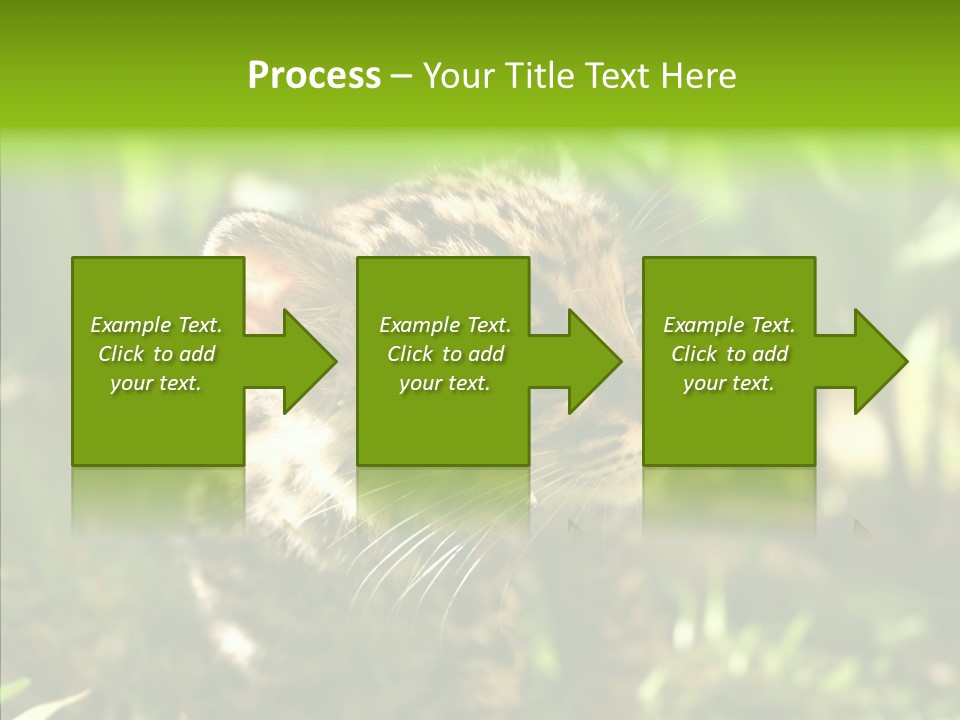 Cute Mammal Manigordo PowerPoint Template