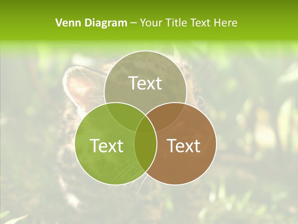 Cute Mammal Manigordo PowerPoint Template