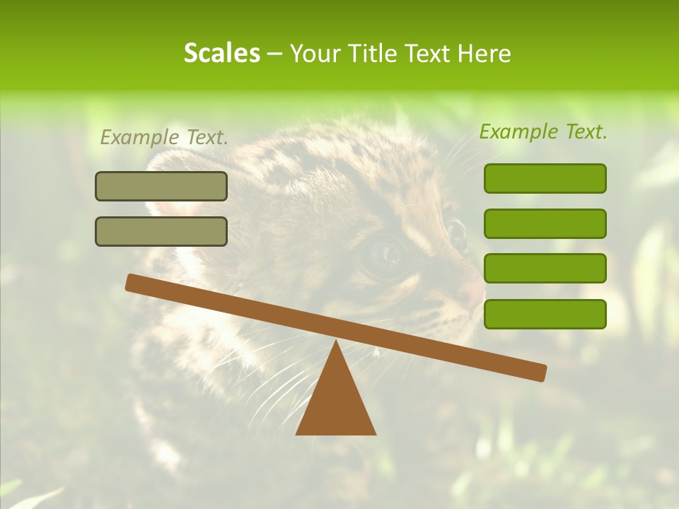 Cute Mammal Manigordo PowerPoint Template