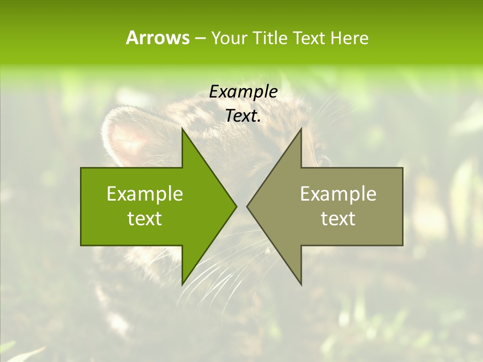 Cute Mammal Manigordo PowerPoint Template