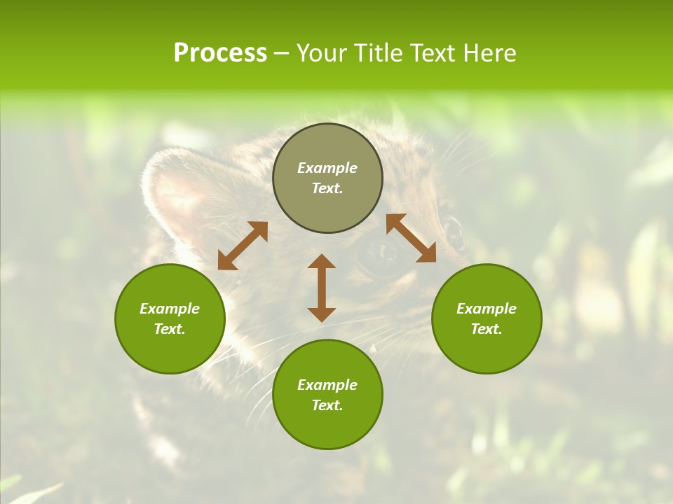 Cute Mammal Manigordo PowerPoint Template