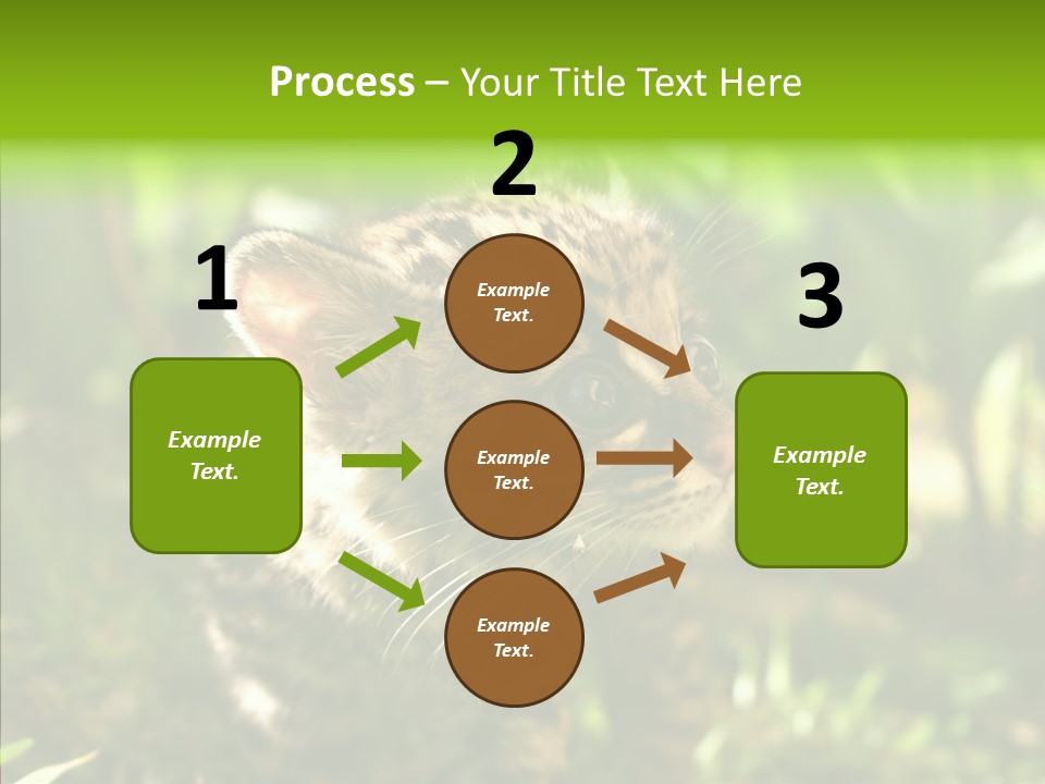 Cute Mammal Manigordo PowerPoint Template