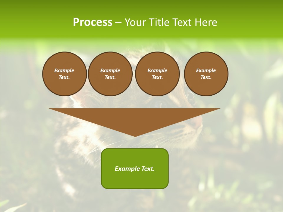 Cute Mammal Manigordo PowerPoint Template