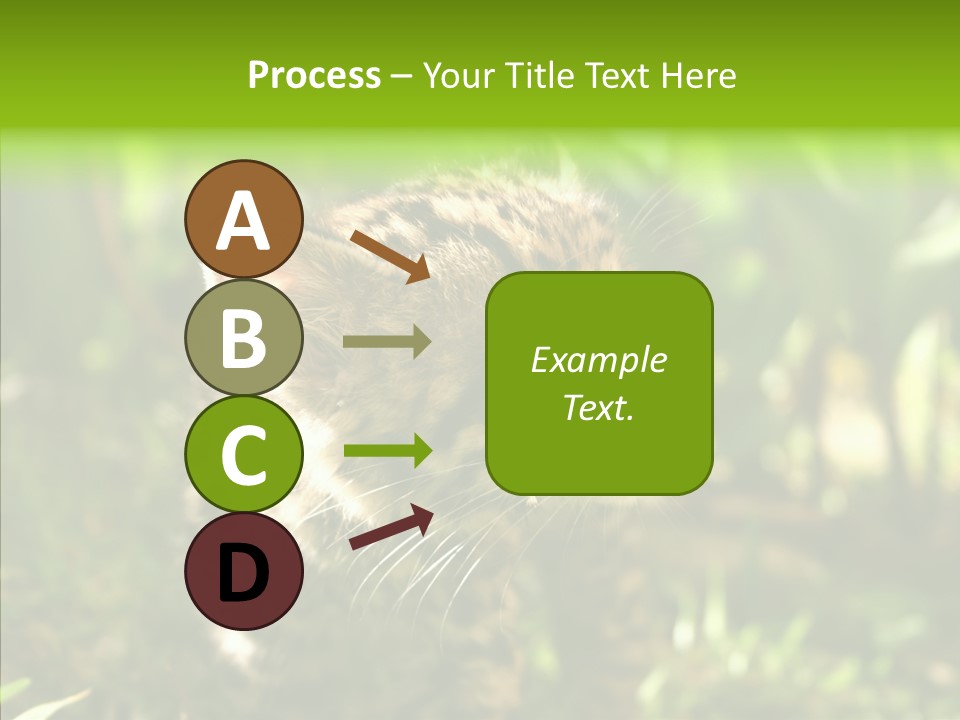 Cute Mammal Manigordo PowerPoint Template