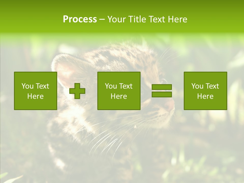 Cute Mammal Manigordo PowerPoint Template