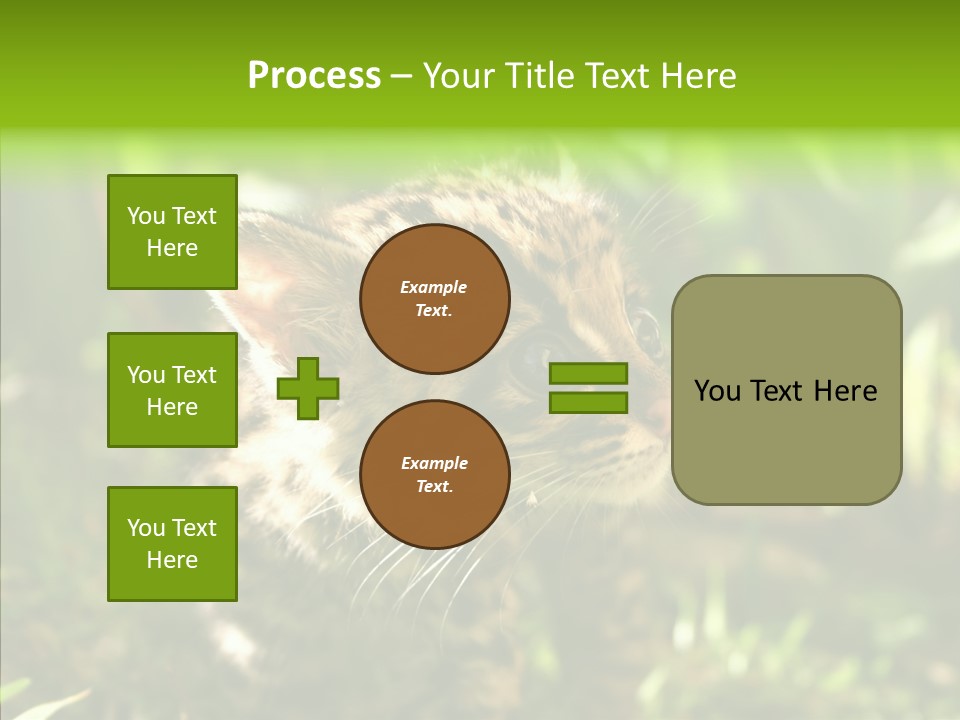 Cute Mammal Manigordo PowerPoint Template