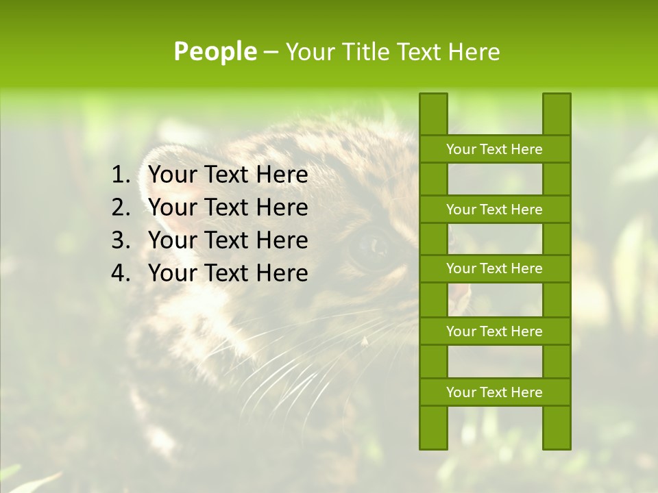 Cute Mammal Manigordo PowerPoint Template
